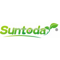 Suntoday vegetales F1 cultivar repollo chino surtido de semillas planas redondas de alta gama de híbridos de verduras frescas en venta (31001)